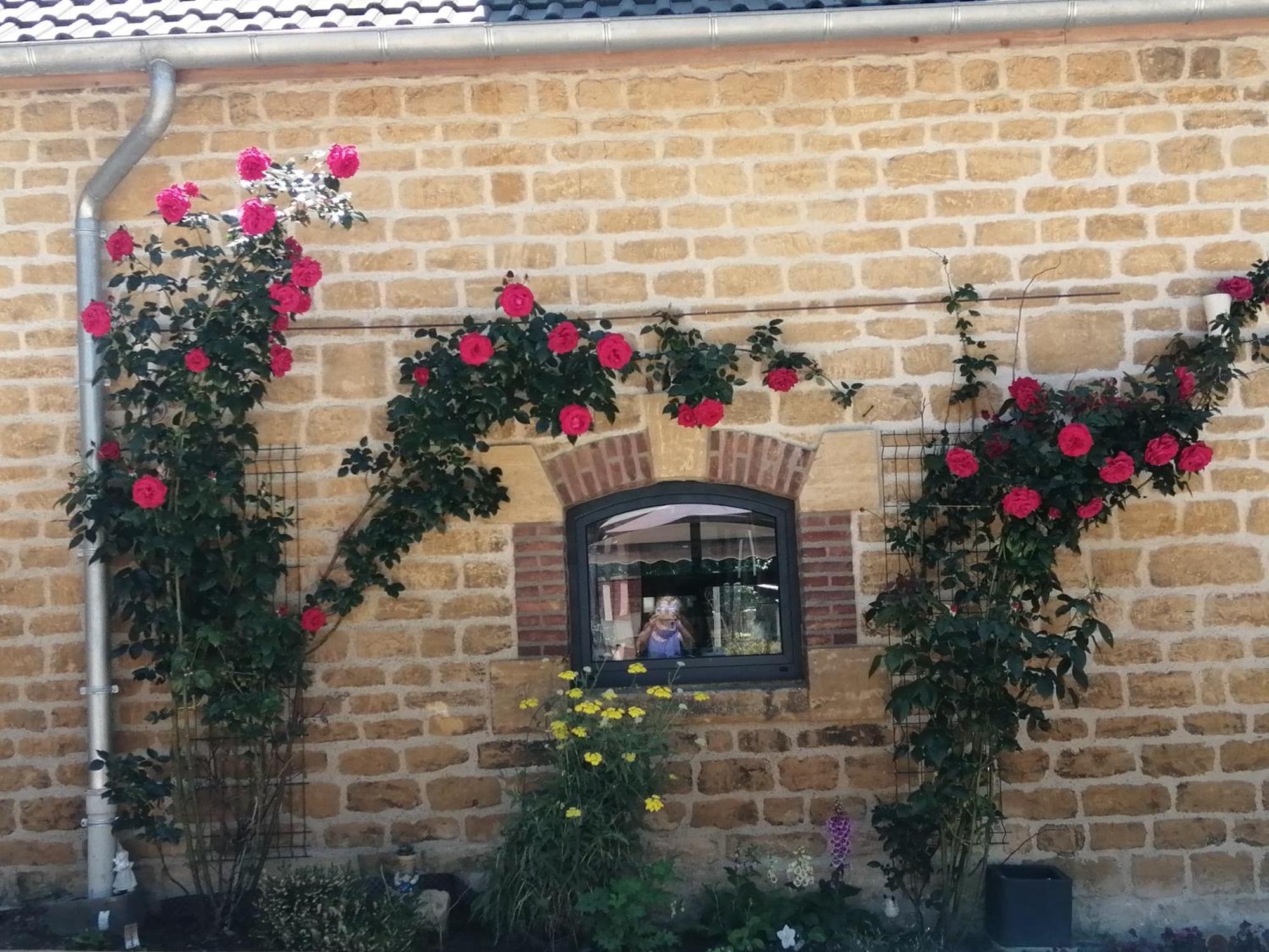 Villa O Jardin De Boutancourt Esterno foto