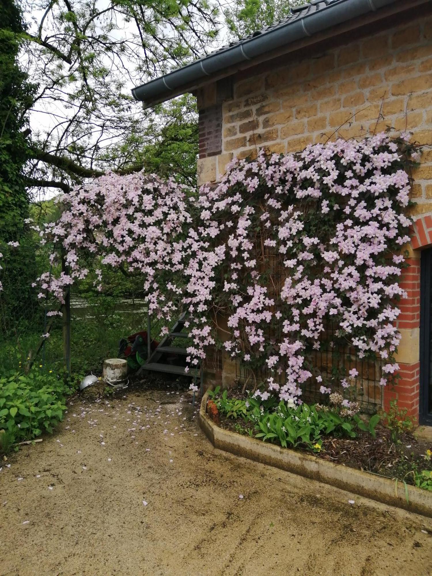 Villa O Jardin De Boutancourt Esterno foto