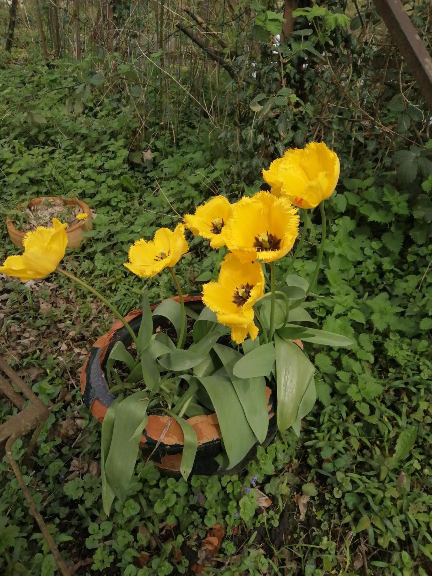 Villa O Jardin De Boutancourt Esterno foto