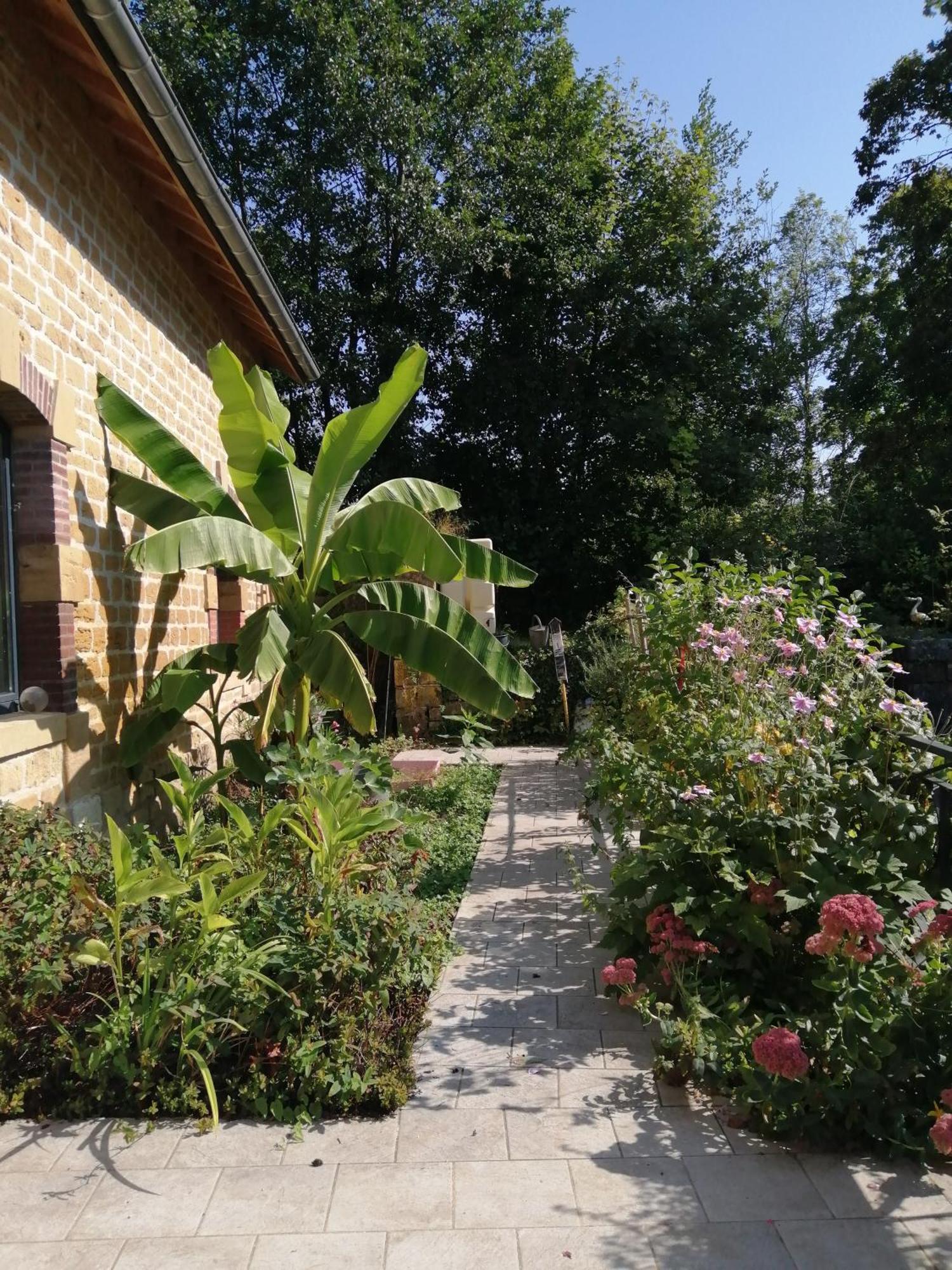 Villa O Jardin De Boutancourt Esterno foto