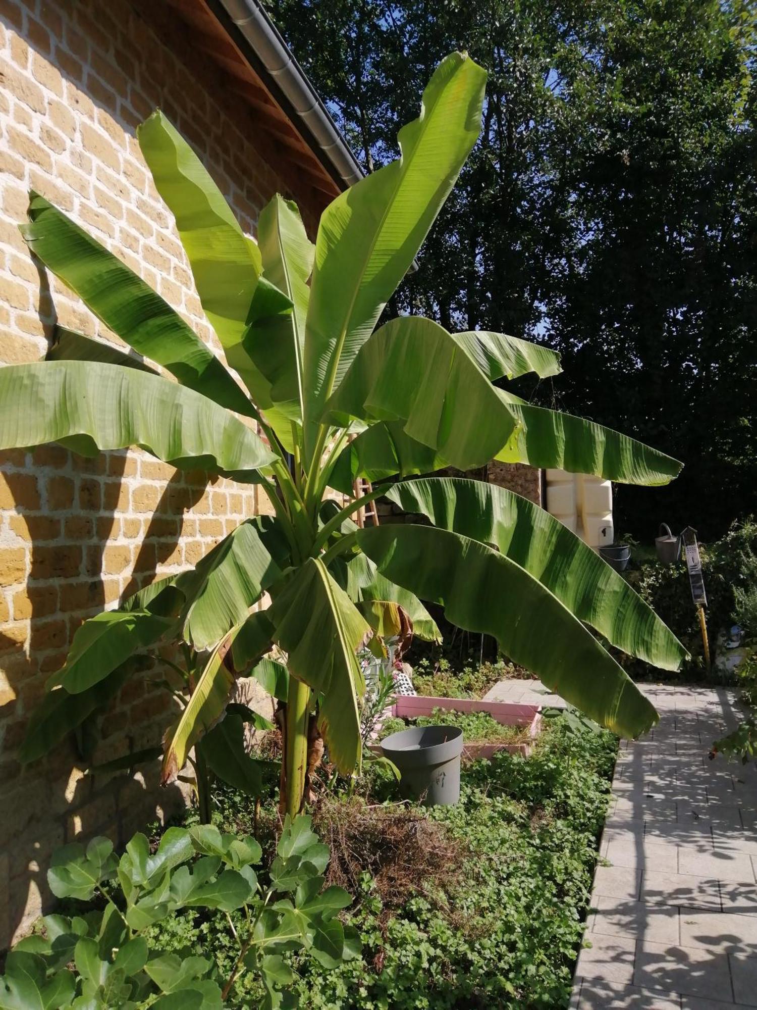 Villa O Jardin De Boutancourt Esterno foto